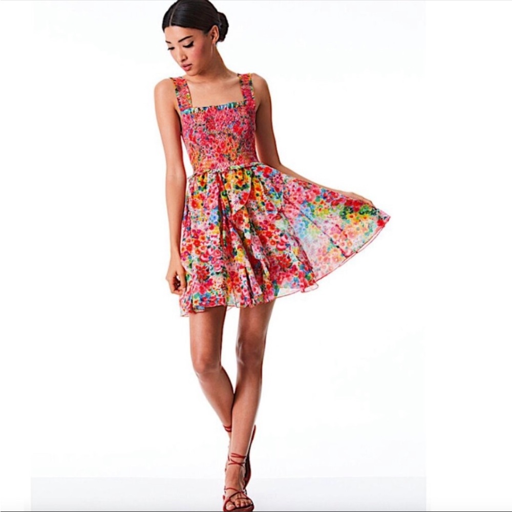 Alice + Olivia Jocelyn Garden Floral Dress EUC